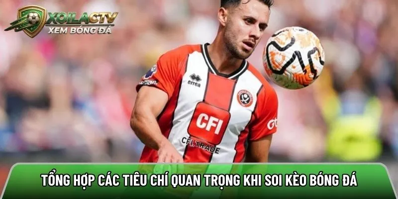 Tổng hợp các loại kèo bóng đá phổ biến và được lựa chọn nhất